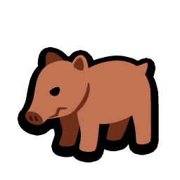 Angry Pygmy Hog