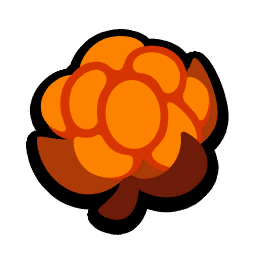 Cloudberries