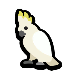 Cockatoo