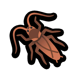Cockroach