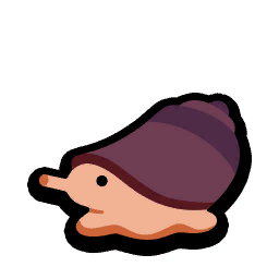 Cone Snail