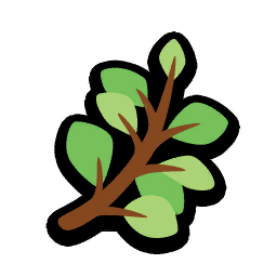 Eucalyptus