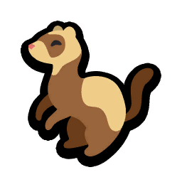 Ferret