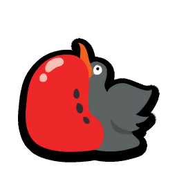 Frigatebird