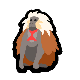 Gelada