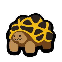 Geometric Tortoise