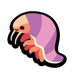 Giant Isopod