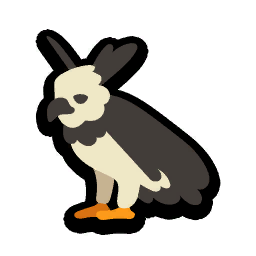 Harpy Eagle