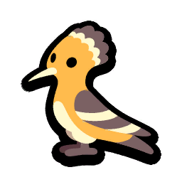Hoopoe Bird