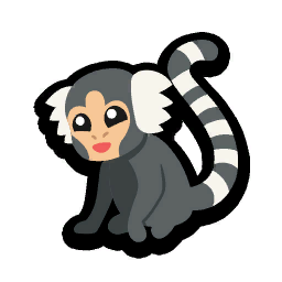 Marmoset