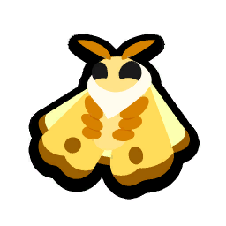 Moth