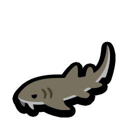 Nurse Shark