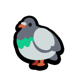Pigeon