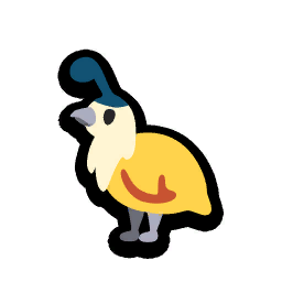Quail Chick