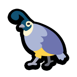 Quail