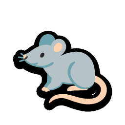 Rat
