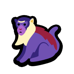 Roloway Monkey