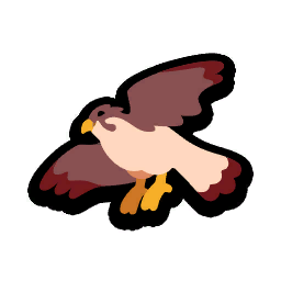 Saker Falcon
