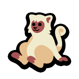Silky Sifaka