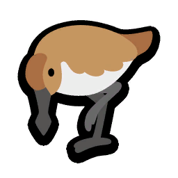 Spoon-Billed Sandpiper