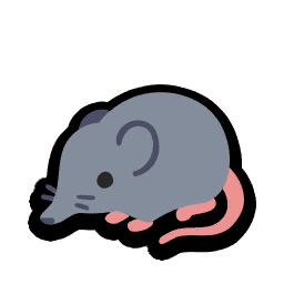 Taita Shrew