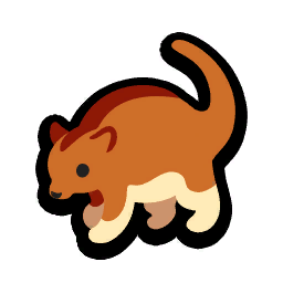 Tree Kangaroo